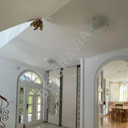 Villa Belgravia Pula