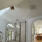 فيلة Belgravia بولا